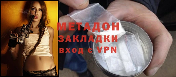 индика Алексин