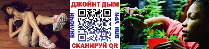 Шишки марихуана план  Питкяранта 